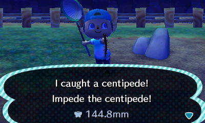 I caught a centipede! Impede the centipede!
