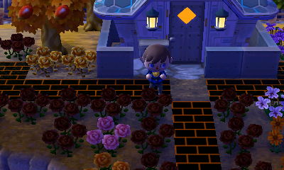 Eating a chocolate coin that Gulliver sent me in the mail.