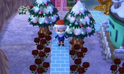 Christmas lights on the trees in town.