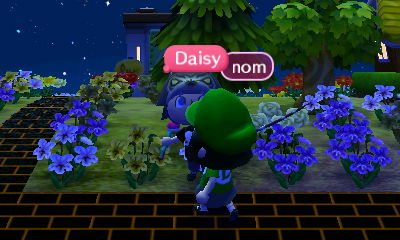 Daisy trying to eat the dace I caught.