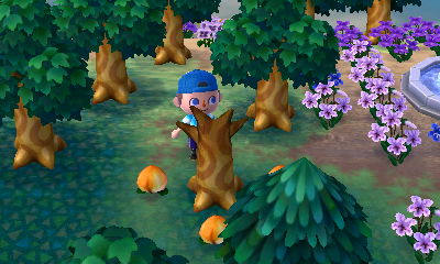 My dead perfect peach tree.