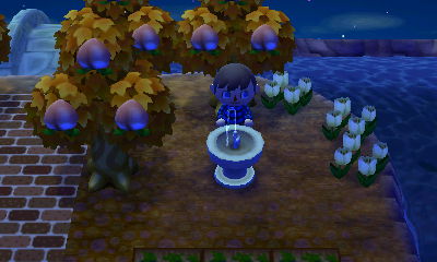 Taking a drink of water from the drinking fountain.