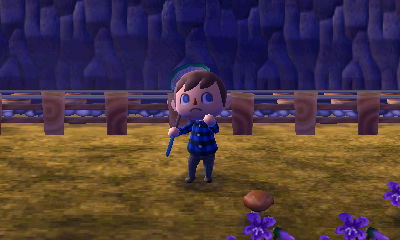 An elegant mushroom on the ground in Forest.