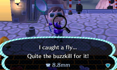 I caught a fly... Quite the buzzkill for it!