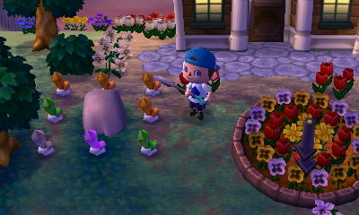 Today's gem rock haul.