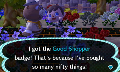 I got the Good Shopper badge! That's because I've bought so many nifty things!