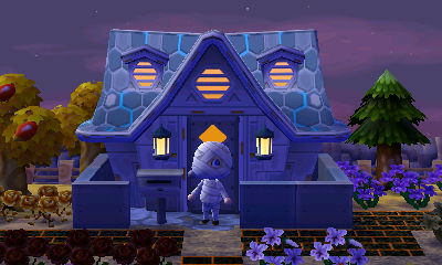 The astro roof on my house.