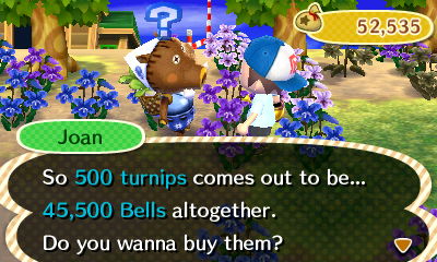Joan: So 500 turnips comes out to be... 45,500 bells altogether. Do you wanna buy them?