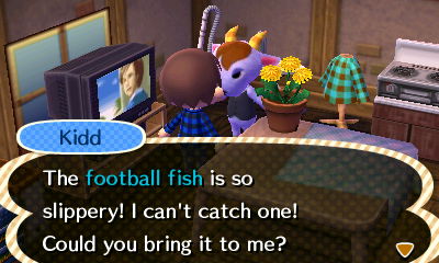 Kidd: The football fish is so slippery! I can't catch one! Could you bring it to me?
