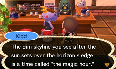 Kidd: The dim skyline you see after the sun sets over the horizon's edge is a time called "the magic hour."