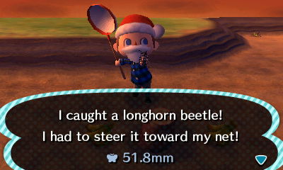 I caught a longhorn beetle! I had to steer it toward my net!