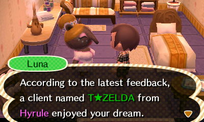 Luna: According to the latest feedback, a client named T Zelda from Hyrule enjoyed your dream.