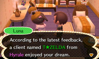 Luna: According to the latest feedback, a client named T Zelda from Hyrule enjoyed your dream.