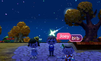 Wishing on shooting stars with Daisy and Joey.