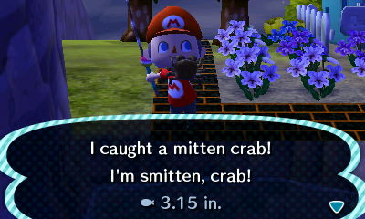 I caught a mitten crab! I'm smitten, crab!