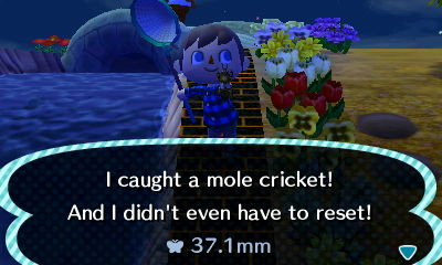 I caught a mole cricket! And I didn't even have to reset!