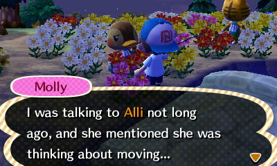 Molly: I was talking to Alli not long ago, and she mentioned she was thinking about moving...