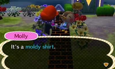 Molly: It's a moldy shirt.
