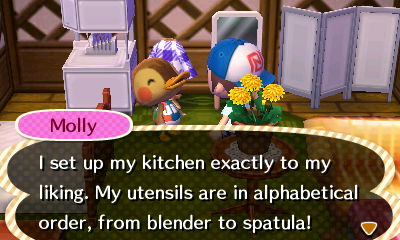 Molly: I set up my kitchen exactly to my liking. My utensils are in alphabetical order, from blender to spatula!