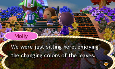 Molly: We were just sitting here, enjoying the changing colors of the leaves.