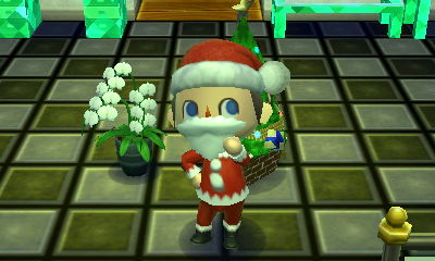 A moth orchid as seen in my house.