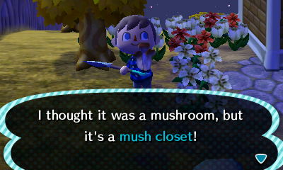 I thought it was a mushroom, but it's a mush closet!
