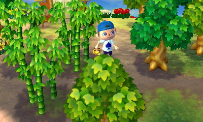 The new color/shade of green on grass and trees.