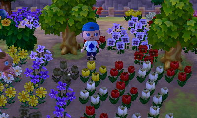 Dirt under my flowers. No grass regrowth so far.