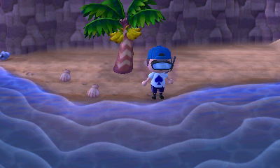 I put on my snorkel mask, but I was unable to swim.