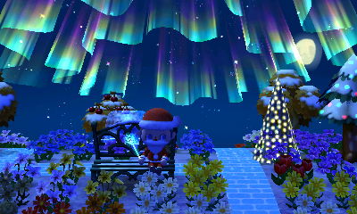 The view of the northern lights from my bench in Forest.