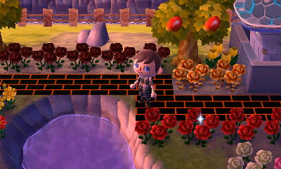 My new path connecting my home to Re-Tail.