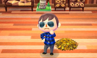 The pile of leaves DLC furniture item.