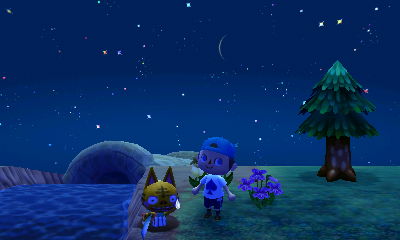 Tabby struggling to get out of a pitfall.