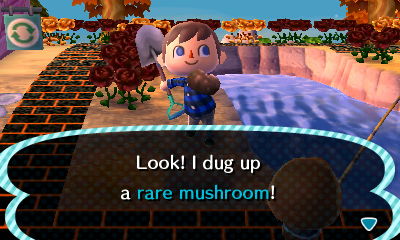 Look! I dug up a rare mushroom!