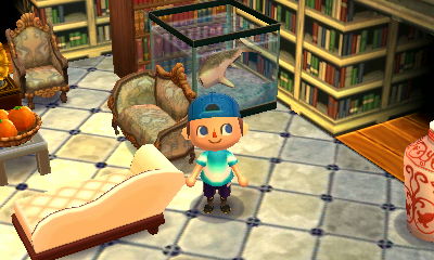 A shark tank in the library of the SpotPass home belonging to Reiko from Biscotti.