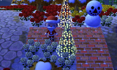 Two illuminated trees in Chris's town of Ruby.