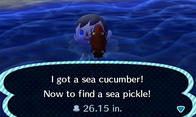 I got a sea cucumber! Now to find a sea pickle!