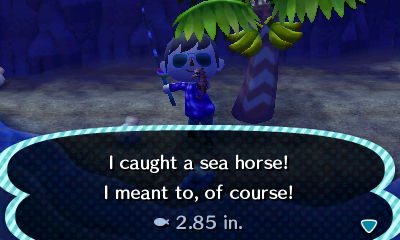I caught a sea horse! I meant to, of course!