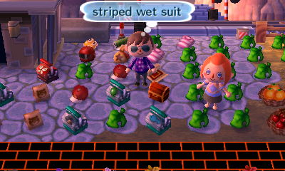 Skye's many possessions on the ground in my town.