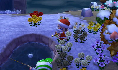 A tiny melted snowball floating in the pond.