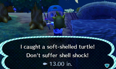 I caught a soft-shelled turtle! Don't suffer shell shock!