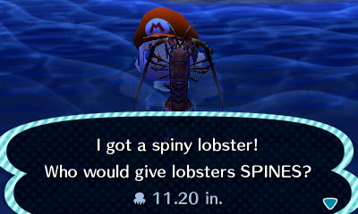 I got a spiny lobster! Who would give lobsters SPINES?