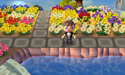 The stone path pattern I got from Nintendo's dream town.