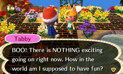 Tabby: BOO! There is NOTHING exciting going on right now. How in the world am I supposed to have fun?