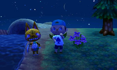 Tabby looks very angry after being pushed into a pitfall.