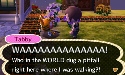 Tabby: WAAAAAAAAAAAAAA! Who in the WORLD dug a pitfall right here where I was walking?!