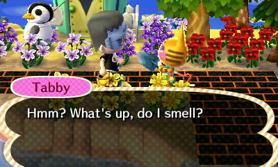 Tabby: Hmm? What's up, do I smell?