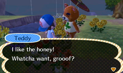 Teddy: I like the honey! Whatcha want, grooof?