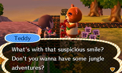 Teddy: What's with that suspicious smile? Don't you wanna have some jungle adventures?
