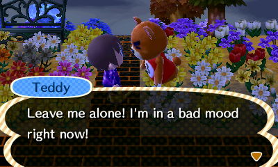 Teddy: Leave me alone! I'm in a bad mood right now!